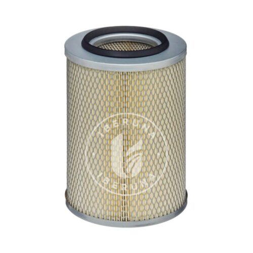 Cartucho de filtro de ar Hengst 10674310000