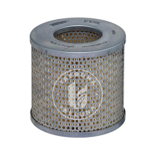 Cartucho de filtro de ar Hengst 10819310000