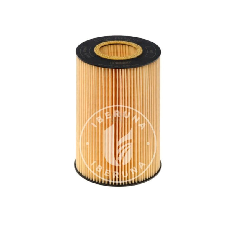 Cartucho de filtro de óleo Hengst 1387130000