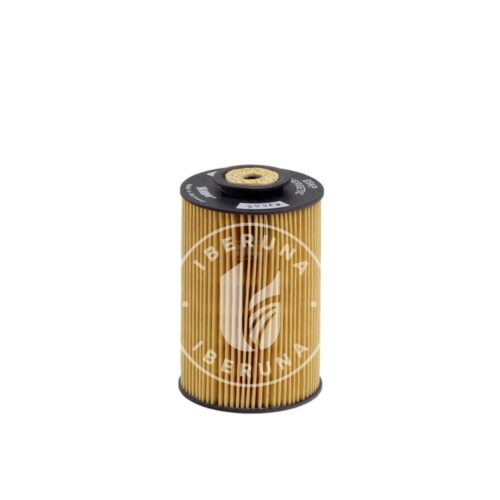 Filtro de combustível Hengst 0006230000 Filtro de combustível Hengst 0006230000