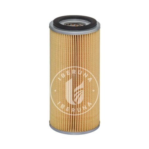 Filtro de óleo Hengst 2039110000