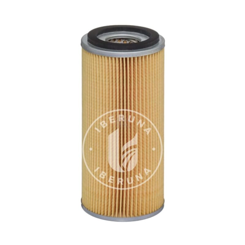 Filtro de óleo Hengst 2039110000