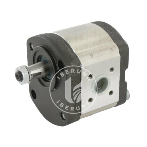 Bomba hidráulica de engrenagens AZPF-11-008LCN20MB-S0685, Bosch Rexroth R918C00329