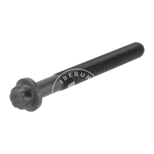 Parafuso da cabeça do cilindro DEUTZ 12851751