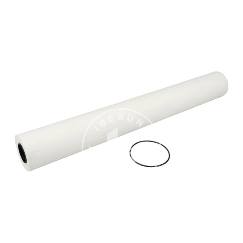 Elemento filtrante F58, AL/ALH/ALD/OLFS NTF 02-F58-A