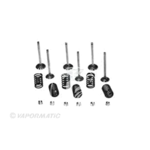 Kit de válvulas Vapormatic VPA6050