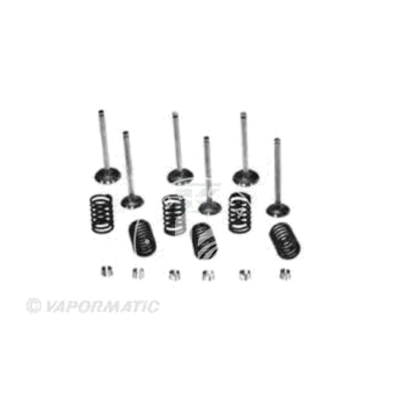 Kit de válvulas Vapormatic VPA6050